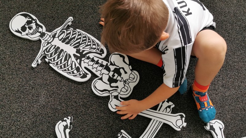 RECENZE - Pěnov&aacute; puzzle kostra